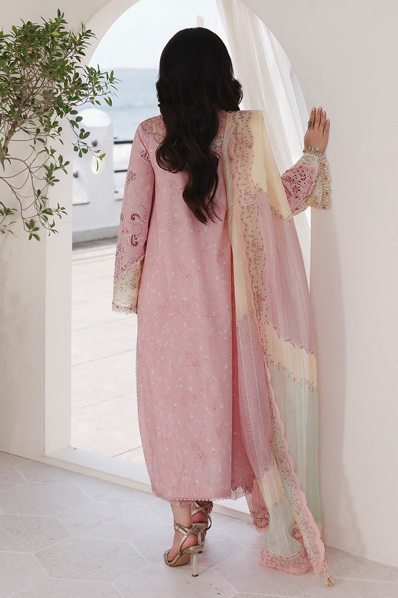 Qalamkar Premium Chikankari Cotton 3 Piece Suit Online Pakistan